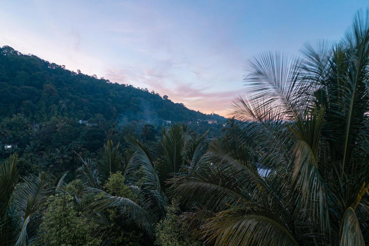 Sun Set Forest Villa Kandy Kültér fotó
